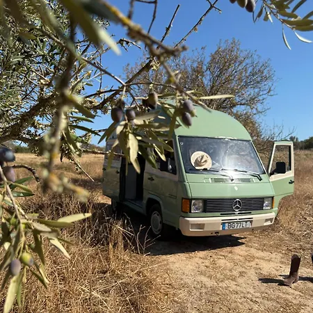 Rent A Blue Classics's Campervan Mb100 - Algarve - Portugal *