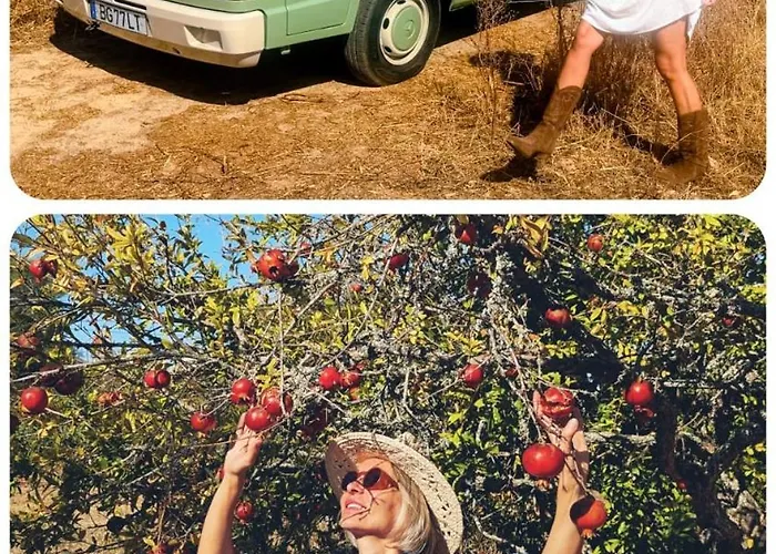 Rent A Blue Classics's Campervan Mb100 - Algarve - Portugal *